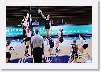 Set 1 * (268 Slides)